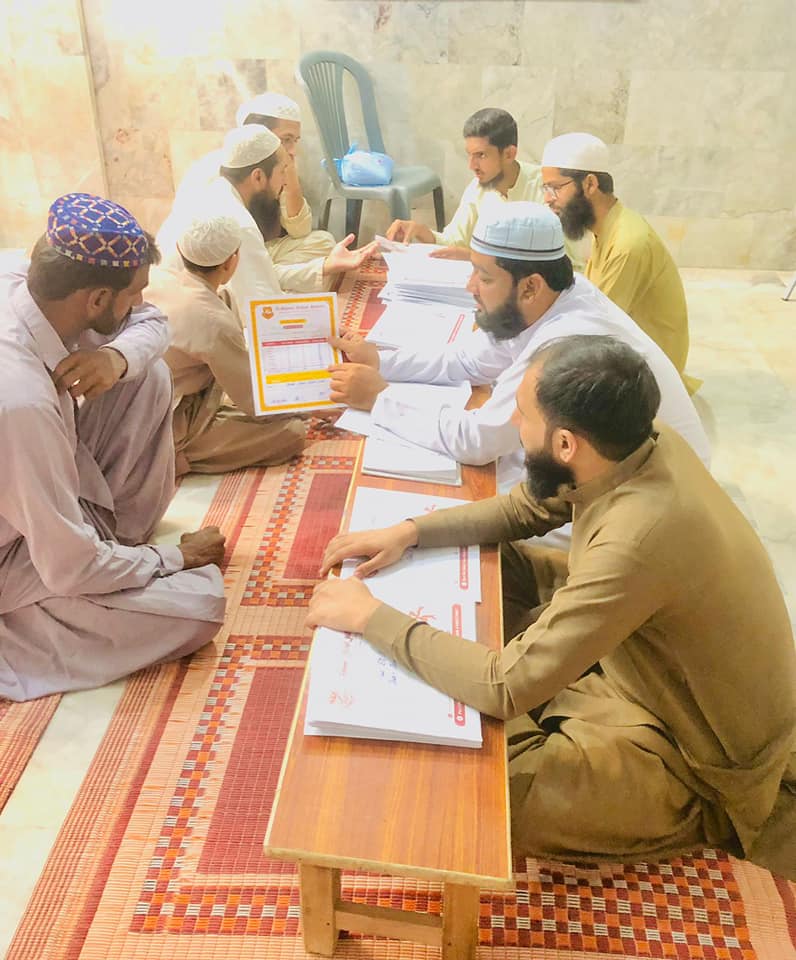 Person holding a green plant